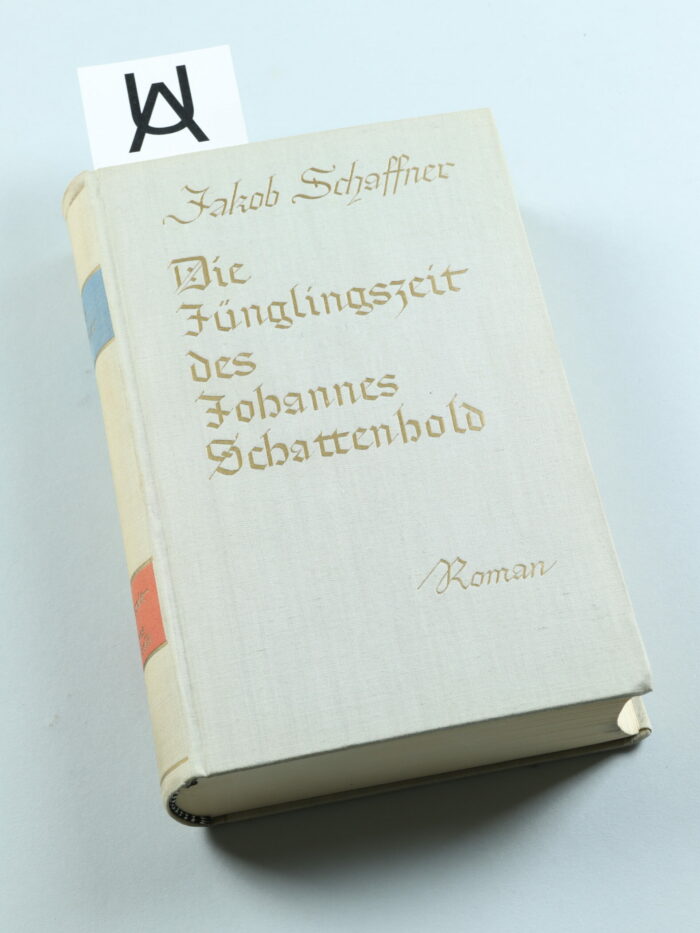 Die Jünglingszeit des Johannes Schattenhold
