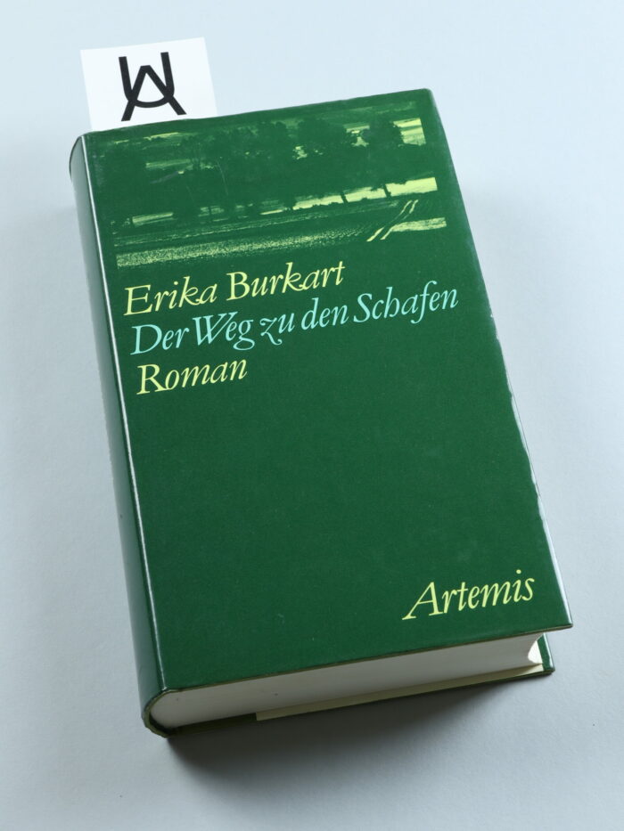 Der Weg zu den Schafen