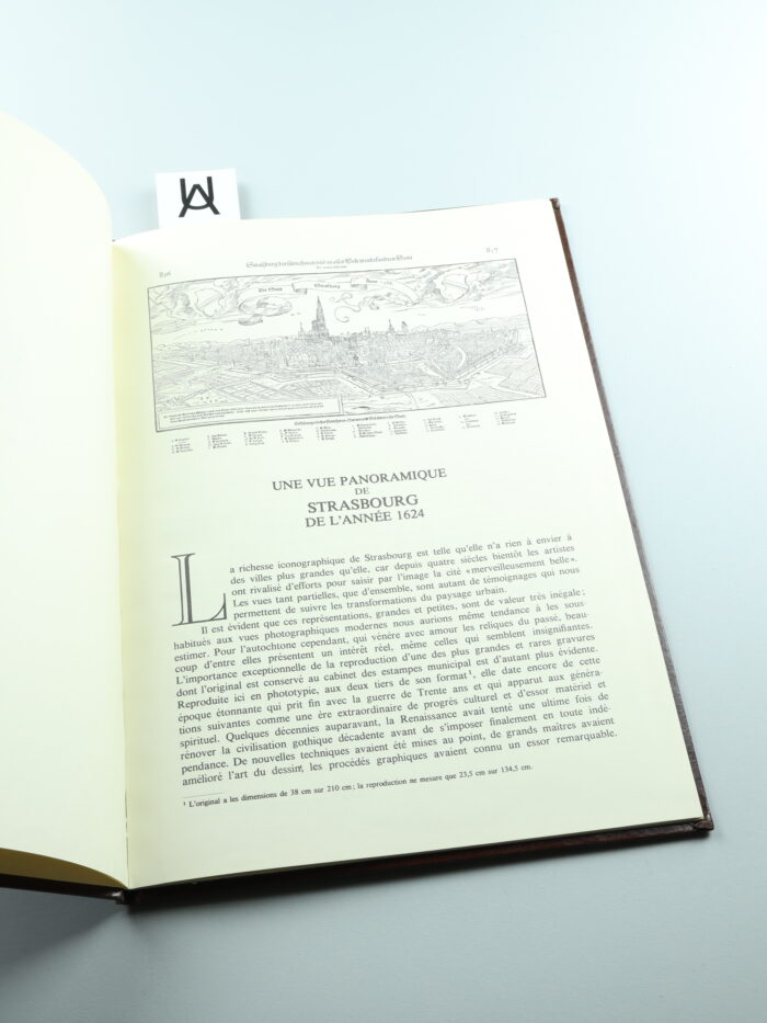 Une vue panoramique de Strasbourg de l'année 1624