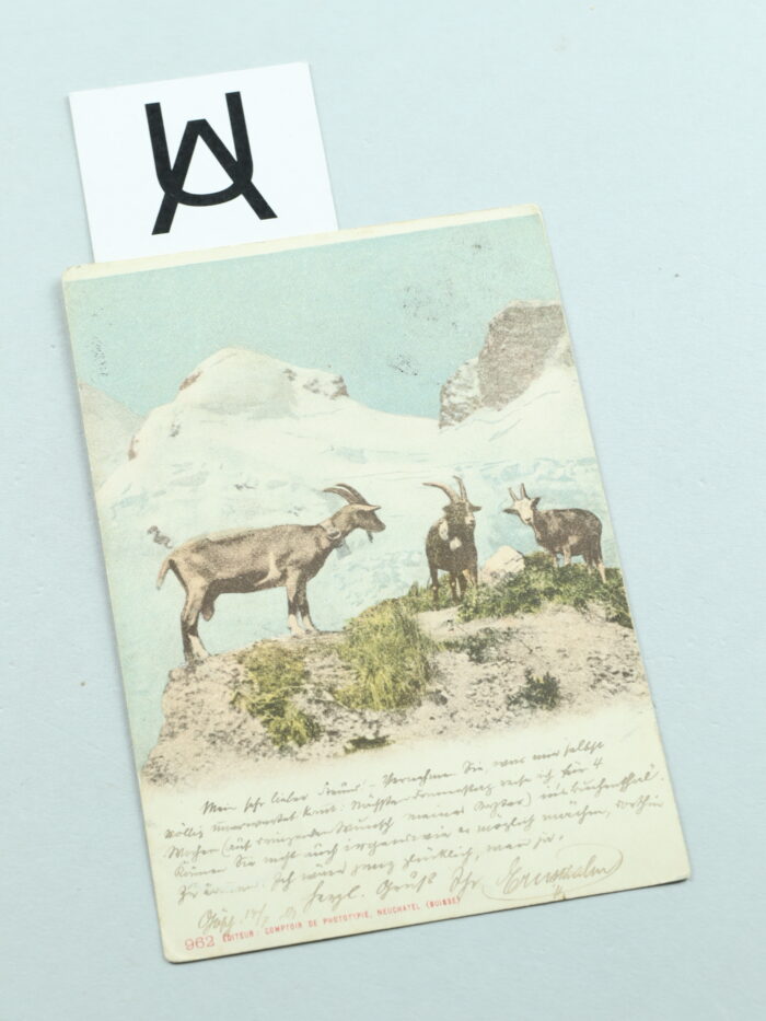 [Handschriftlich beschriebene Postkarte]