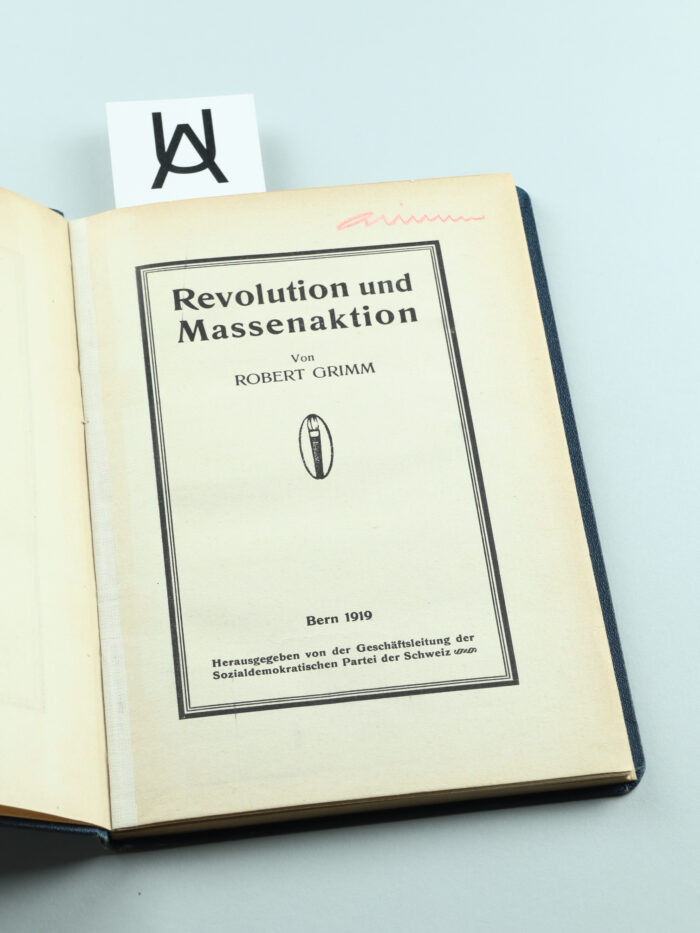 Revolution und Massenaktion