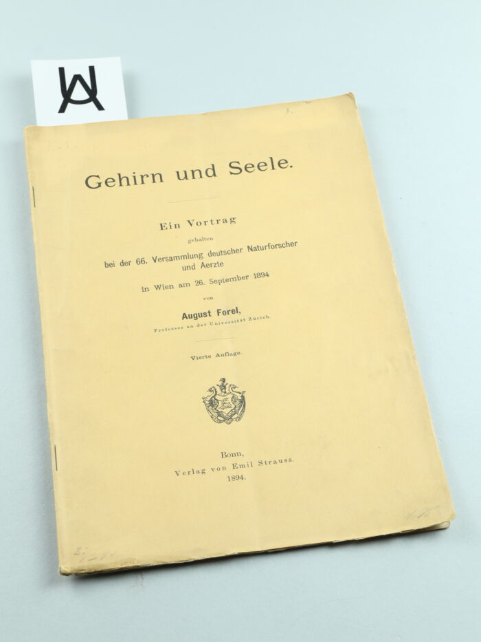 Gehirn und Seele