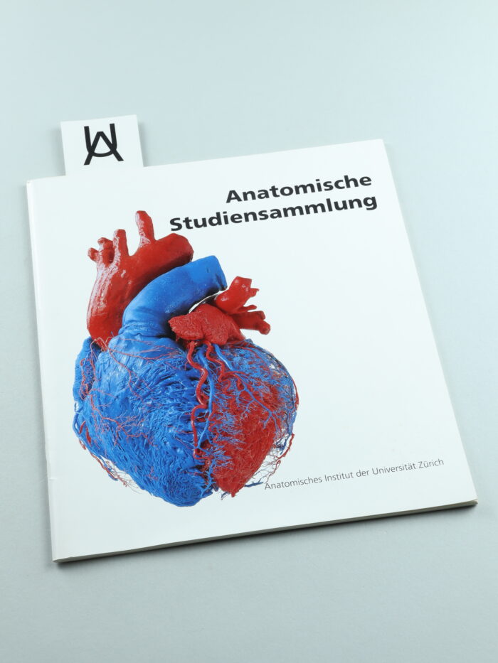 Universität Zürich, anatomische Studiensammlung (Bau 42, Stockwerk G)